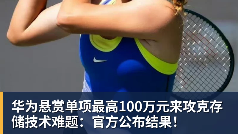 好博体育华为悬赏单项最高100万元来攻克存储技术难题：官方公布结果！